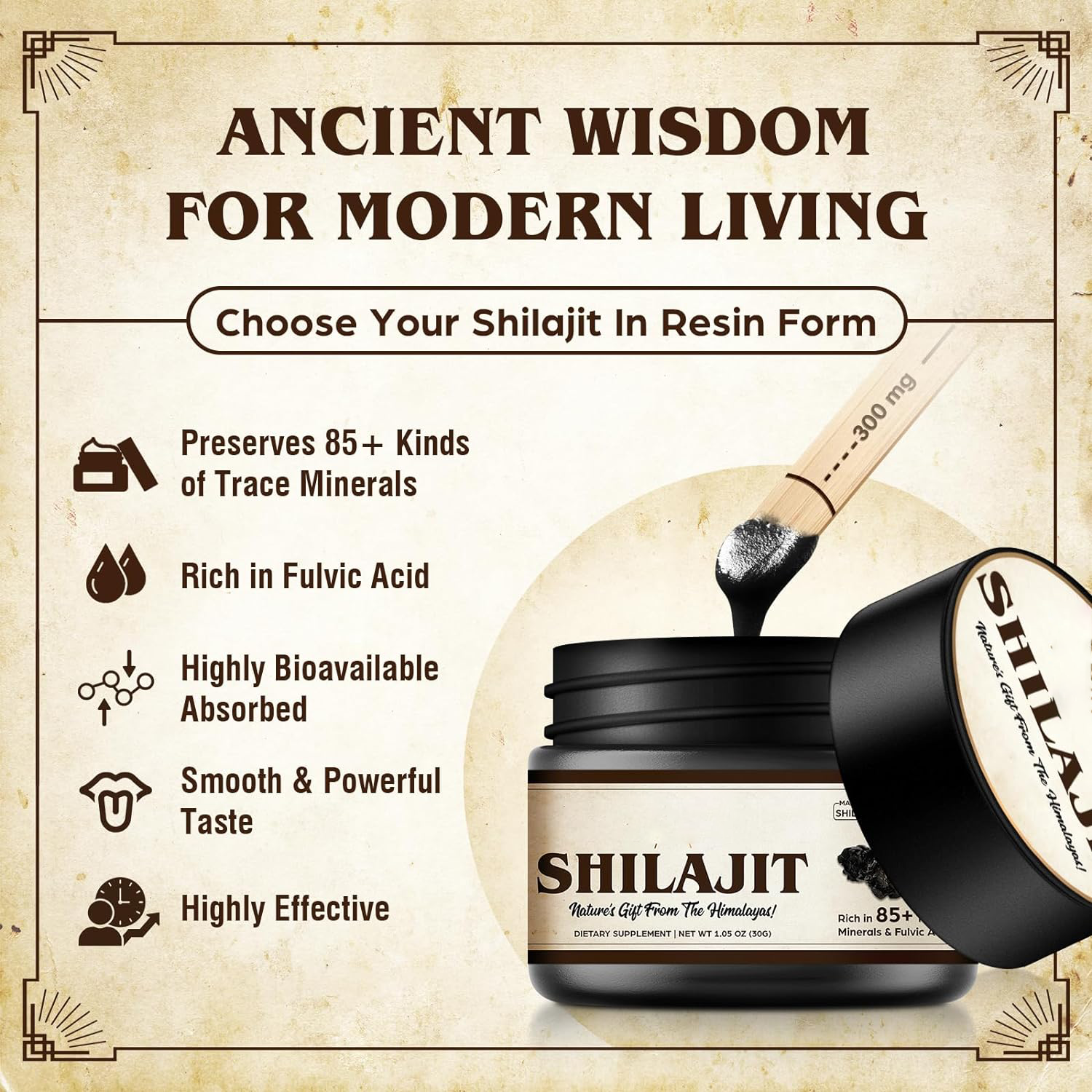 Pure Himalaya Shilajit